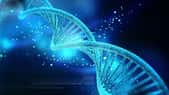 La découverte de l'ADN, cette précieuse molécule. La molécule d'ADN renferme l'information génétique, c'est-à-dire le génome. Sa structure a été déterminée en 1953 par James Watson et Francis Crick, qui auront le prix Nobel de médecine neuf ans plus tard. © Creations, Shutterstock