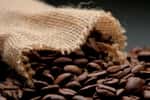 Des solutions existent pour consommer du café sans utiliser des filtres à café à usage unique. © DavidRojasS, Adobe Stock