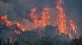 De graves incendies ravagent la Grèce en ce moment. © ververidis, Adobe Stock