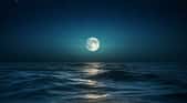 Image générée par une IA d'un lever de lune au-dessus de la mer.  © Ella, Adobe Stock