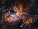 Cette image composite montre la région de formation d’étoiles 30 Doradus, également connue sous le nom de nébuleuse de la Tarentule. L’image de fond, prise dans l’infrarouge, est elle-même une image composite : elle a été capturée par les instruments HAWK-I sur le VLT et Vista de l’ESO. Elle montre des étoiles brillantes et des nuages légers et rosés de gaz chaud. Les bandes rouge-jaune brillantes qui ont été superposées à l’image proviennent d’observations radio effectuées par Alma, révélant des régions de gaz froid et dense qui ont le potentiel de s’effondrer et de former des étoiles. La structure unique en forme de toile des nuages de gaz de cette nébuleuse a conduit les astronomes à lui donner comme surnom le nom d’une araignée. © ESO, Alma (ESO/NAOJ/NRAO)/Wong et al., ESO/M.-R. Cioni/Vista Magellanic Cloud survey. Acknowledgment: Cambridge Astronomical Survey Unit