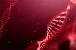 Des chercheurs ont mis au point un nouvel outil d’édition génomique pour couper de l’ADN. © phive2015, Fotolia