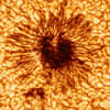 Tache solaire imagée le 28 janvier 2020 par le télescope Inouye. © NSO, AURA, NSF