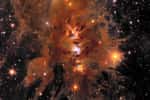 Un zoom sur Messier 78, une pépinière d'étoiles vibrantes enveloppée de poussière interstellaire vue par Euclid. © ESA/Euclid/Euclid Consortium/Nasa, traitement d'images par J.-C. Cuillandre (CEA Paris-Saclay), G. Anselmi ; Licence standard CC BY-SA 3.0 IGO ou ESA