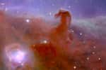 Gros plan de la nébuleuse de la Tête de Cheval, également connue sous le nom de Barnard 33, située à 1 375 années-lumière de nous et faisant partie de la constellation d'Orion. © ESA/Euclid/Euclid Consortium/NASA, image processing by J.-C. Cuillandre (CEA Paris-Saclay), G. Anselmi; CC BY-SA 3.0 IGO