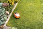 Robot tondeuse sur une pelouse © Shutterstock