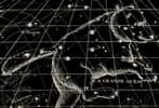 Représentation de la Grande Ourse sur une ancienne carte du ciel. © lynea, fotolia