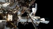 Deux véhicules Dragon de SpaceX amarrés au module Harmony de la Station spatiale internationale. Le véhicule à l'horizontal est un Crew Dragon pour le transport de passagers et l'autre un véhicule de fret Dragon. © Nasa