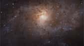 Mosaïque de la galaxie du Triangle (M33) obtenue à partir d'images prises par le télescope spatial Hubble entre février 2017 et février 2018. Cette image couvre 14 500 années-lumière. © Nasa, ESA, M. Durbin, J. Dalcanton et B. F. Williams (Université de Washington)