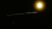 Selon Avi Loeb, astrophysicien à l’université de Harvard (États-Unis), « ’Oumuamua nous a apporté la preuve de l’existence de civilisations extraterrestres intelligentes. Illustration de l'objet ‘Oumuamua. © naturalearth2, Adobe Stock