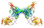 Dans cette étude de laboratoire, les chercheurs de Stanford ont utilisé une protéine AXL modifiée en vue de réduire la migration des cellules cancéreuses. © eml, Wikimedia Commons, cc by sa 3.0