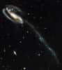 UGC 10214 évolue à près de 420 millions d'années du Soleil, dans la constellation du Dragon. © Nasa et the ACS Science Team