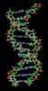 Des gènes portés par un même chromosome mais pourtant distants peuvent être coordonnées par une organisation spatiale jusqu'alors inconnue des bâtonnets d'ADN. Jusque-là, on pensait grossièrement que la structure des chromosomes importait peu, mais que l'expression génique dépendait de la présence de régulateurs (activateurs ou inhibiteurs). Cette vision des choses était seulement partielle. © Zephyris, Wikipédia, cc by sa 3.0