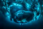 « Sous le zéro », gagnant 2020 du concours de la plus belle photo sous-marine dans la catégorie Grand angle. © Tobias Friedrich, UPY 2020