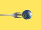 Quels pays offrent le meilleur compromis entre qualité, sécurité alimentaire et développement durable ? © Photobank, Adobe Stock