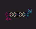 Les gènes s’expriment de façon plus ou moins importante chez les hommes et chez les femmes. © igor kisselev, Adobe Stock