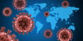 Les origines de la pandémie de Covid-19 restent mystérieuses. © peterschreiber.media, Adobe Stock
