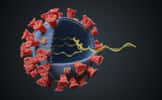 Aujourd'hui, l'ARN messager permet d'élaborer des vaccins contre des virus pathogènes.&nbsp;© Vchalup, Adobe Stock