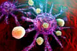 Les immunothérapies anti-cancéreuses sont l'une des pistes prometteuses pour soigner les cancers dans le futur. © Spectral Design, Fotolia