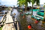 Près de 140.000 personnes auraient été touchées par les inondations de la province de Loreto, dont la capitale est Iquitos, au Pérou. Malheureusement plusieurs décès sont à dénombrer. Certains seraient liés à l'apparition d'épidémies, notamment de leptospirose. © Williams Santini, IRD