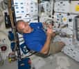 Dave Wolf, spécialiste de mission, au travail dans le pont intermédiaire de la navette Endeavour, durant le jour 1 de la mission STS-127. © Nasa