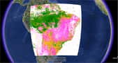 Exemple d’analyse réalisée avec Google Earth Engine, montrant la proportion de végétation. © Google