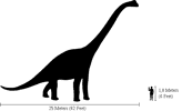 Saurez-vous vous mesurer aux dinosaures ? Jouez à notre quizz pour le savoir. © Domaine public