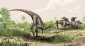 Cette reconstitution de Nyasasaurus parringtoni a été réalisée par Mark Witton. Cet animal présentait une hauteur au niveau du bassin d'environ 1 m. Il pourrait avoir été herbivore. © Mark Witton, Natural History Museum of London