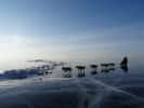 L'Odyssée sauvage durant la dernière journée : le traîneau glisse sur la glace cristalline du lac Baïkal. Les chiens doivent trouver leur équilibre... © Taïga