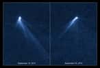 Les observations détaillées d'Hubble, à 13 jours d'intervalle, ont révélé que l'astéroïde P/2013 P5 est en rotation de plus en plus rapide et possède six traînées de poussières. © Nasa, Esa, David Jewitt, UCLA