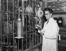 Stanley Miller vers 1953, un des pionniers des expériences sur la chimie organique qui a initié la vie terrestre. © Dept. of Chemistry & Biochemistry, University of California, San Diego