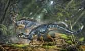 Un image d'artiste vraisemblable de Tianyulong confuciusi, ornithischien à protoplumes. © Li-Da Xing