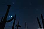Le ciel pur de l'Arizona a permis d'immortaliser Jupiter et Vénus au milieu des étoiles, une fois la nuit tombée. © Sean Parker
