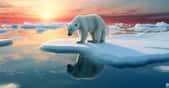 Des chercheurs montrent comment l’application du Protocole de Montréal profite à la glace de mer en Arctique. © Artofinnovation, Adobe Stock