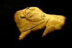 Découvrez l'art préhistorique en six&nbsp;images exceptionnelles. Ici, une représentation de bison avec la tête se retournant sur le&nbsp;corps pour se lécher le flanc. Cet objet en bois de renne est peut-être un fragment de propulseur (instrument de chasse muni d’un crochet, permettant d’allonger le bras pour projeter les javelots). Il a été trouvé dans l'abri de la Madeleine, en Dordogne. Il daterait de 13.000 av. J.-C. © Jochen Jahnke, Wikipédia, GFDL