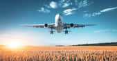 Des chercheurs de l’université de l’État de l’Arizona (États-Unis) montrent que la décarbonation du secteur de l’aviation est à portée de main. © den-belitsky, Adobe Stock