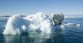 Plus que le reste du monde, l’Arctique est impacté par le réchauffement climatique. Des chercheurs rapportent aujourd’hui qu’au Canada, deux calottes glaciaires ont entièrement fondu. © Paul Souders/Danita Delimont, Adobe Stock
