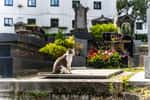 Un chat dans un cimetière parisien. © AlexMastro, Adobe Stock