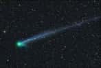 Cette superbe image de la comète C/2009 R1 McNaught a été prise le 10 juin 2010. Dégazages intempestifs du noyau et effets du vent solaire modifient l'aspect de sa longue queue d'heure en heure. Crédit M. Jäger
