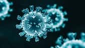 Comment neutraliser le coronavirus ? Des chercheurs américains testent une nouvelle solution. © koto_feja, IStock.com 