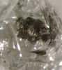 Un grain de sulfure de fer examiné au microscope optique dans un diamant extrait d'une kimberlite. Sa taille est de 0,25 mm. © Steven B. Shirey, Carnegie Institution of Washington
