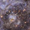 VFTS 102, l'étoile dont la rotation sur elle-même dépasse les 2 millions de km/h, se trouve dans la nébuleuse de la Tarentule. © ESO/M.-R. Cioni/Vista Magellanic Cloud survey
