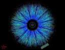 Le plasma de quarks-gluons vu par les détecteurs du RHIC. Crédit Brookhaven National Laboratory