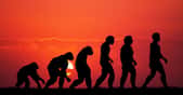 Et si finalement l’Homme n’avait pas été bâti comme les singes d’Afrique ? © adrenalinapura, Fotolia
