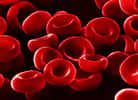 Les globules rouges, supports des principaux groupes sanguins. Source Commons