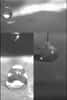 Capture tirée d’une vidéo de démonstration du MIT où l’on peut voir comment des gouttes d’eau rebondissent sur la surface nanotexturée puis roulent comme des billes sans laisser de trace. © Massachusetts Institute of Technology