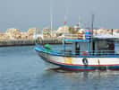 Le golfe de Gabès est très riche en poisson. Il fournit 65 % des prises de pêche en Tunisie. Ses eaux sont poissonneuses mais paradoxalement pauvres en éléments nutritifs. © Phileole, Flickr, CC by 2.0