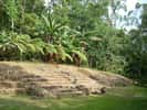 Sur le site archéologique de Takalik Abaj, au Guatemala, l'escalier d'accès à la terrasse 3. © Simon Burchell, Wikimedia Commons, CC by-sa 3.0 