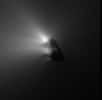 Le noyau de la comète de Halley vu par Giotto en mars 1986. © Esa-Max Planck Institute for Solar System Research
