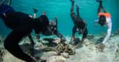 Les coraux doivent faire face au réchauffement climatique. © Coral Guardian, tous droits réservés